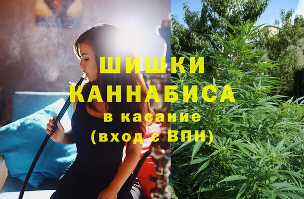 эйфоретик Абинск