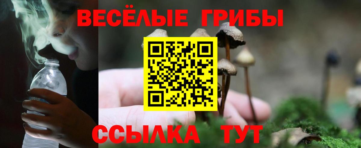 Псилоцибиновые грибы MAGIC MUSHROOMS Барнаул