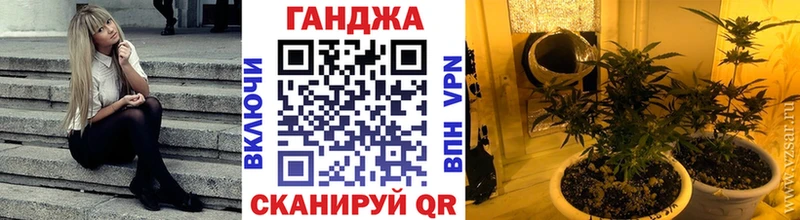 Каннабис сатива  Барнаул 